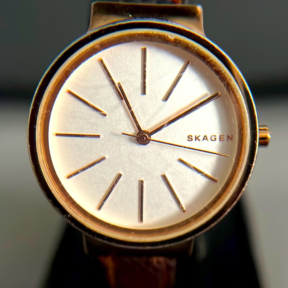 Skagen SKW 2481 Ladies Quartz  Watch